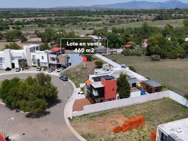 Lote Frida Kahlo