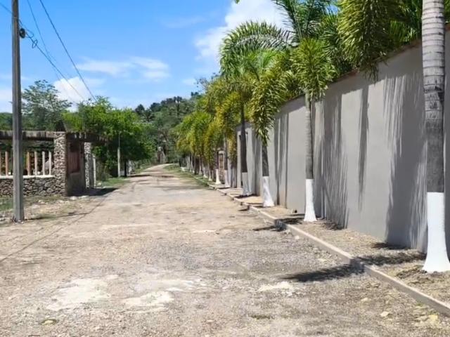 Lote Guayabitos
