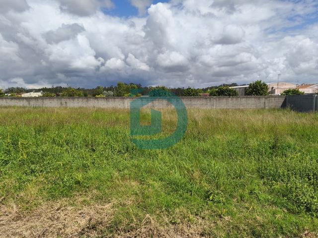 Lote Gião