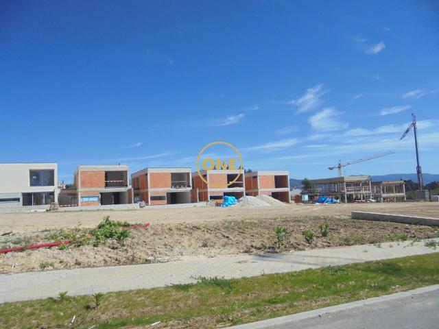 Lote individual, Palmeira