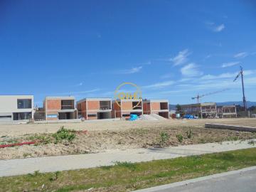 Lote individual, Palmeira