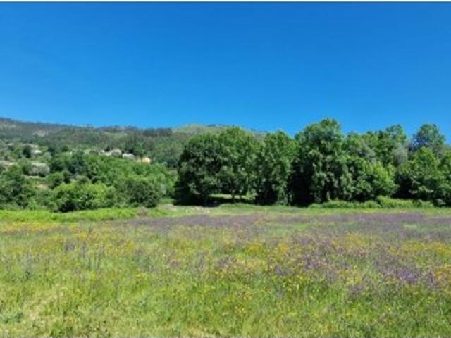 Lote p/ construção Cantelães