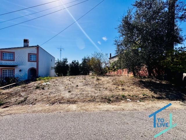 Lote para construção a poucos minutos de Tomar – 1040 m2