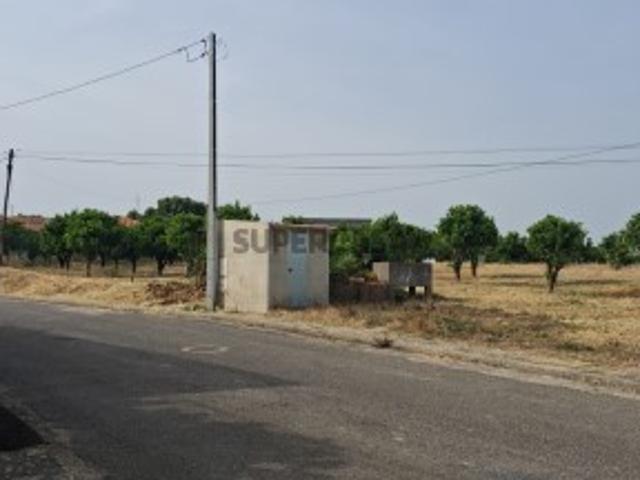 Lote para construção Cartaxo