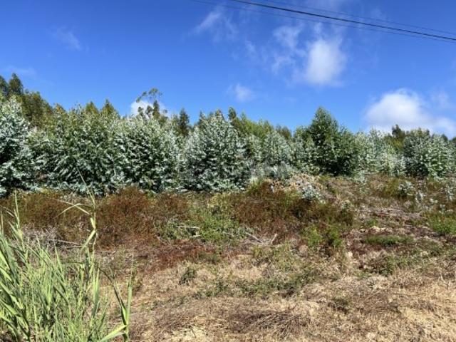Lote para construção de moradia, 40 minutos de Lisboa