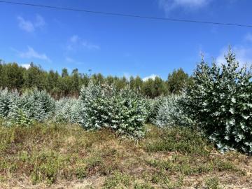Lote para construção de moradia, 40 minutos de Lisboa