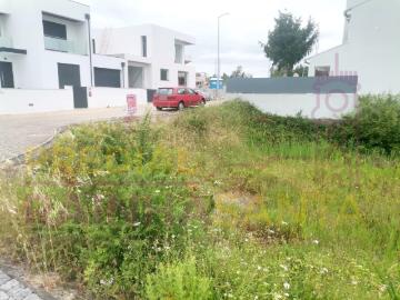 Lote para construção de Moradia Ançã