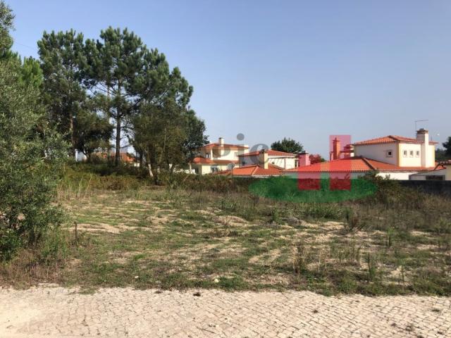 Lote para Construção de Moradia no Nadadouro Caldas Rainha*RIOMAGIC