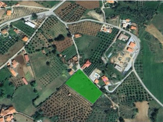 Lote para construção em Nogueirinha / Gradíssimo, Macedo de Cavaleiros