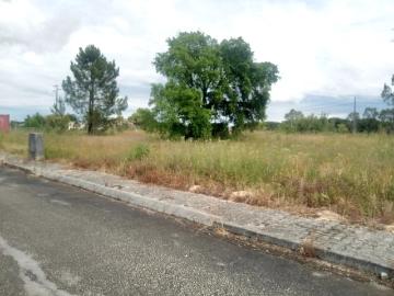 Lote para Construção em Biscainho – Coruche