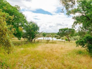 Lote Premium com 3.065 m2 junto à Lagoa | Vila Nova de Santo Estevão