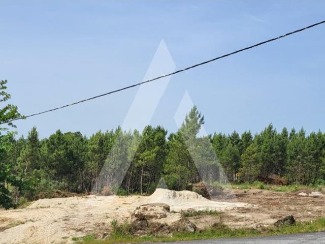 Lote para construção!