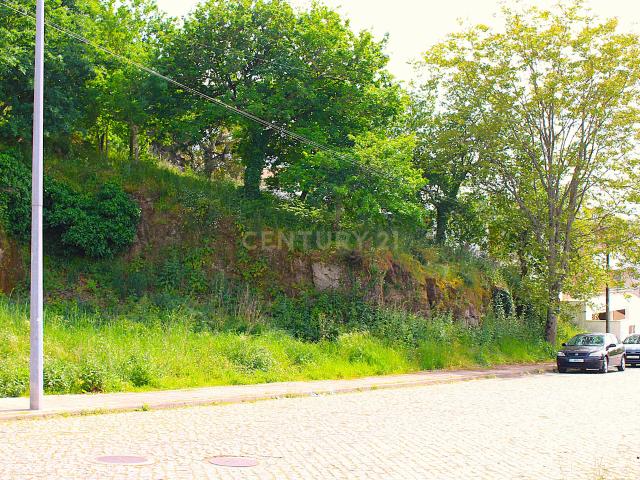 Lote para construção 500m2 Santa Luzia, Penafiel