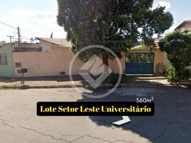 Lote para investimento Setor universitário codigo: 106728