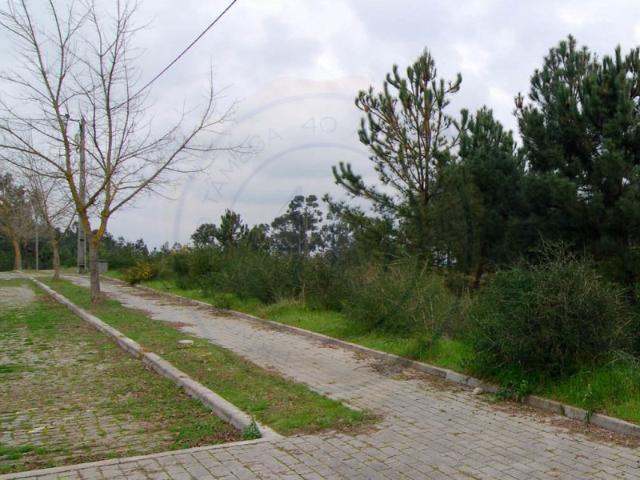 Lote para Moradia