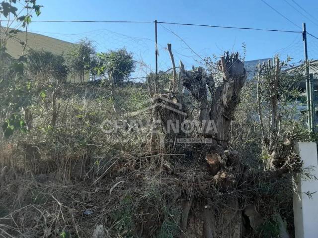 Lote para moradia na Sra da Saúde Carvalhos