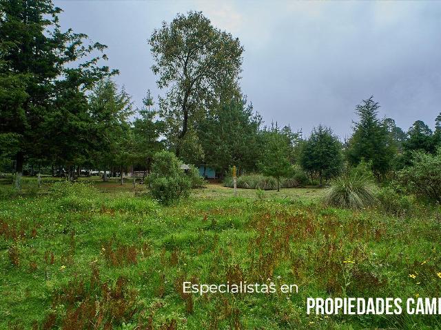 Lote para tu caba?a en zona de Bosque