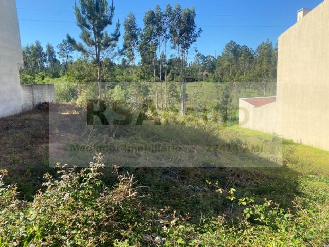 Lote para Venda