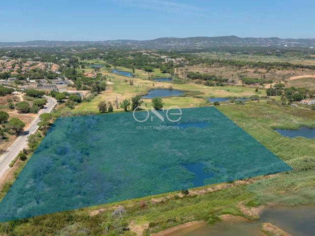 Lote Para Venda