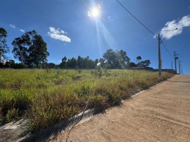 Lote para Venda, Centro