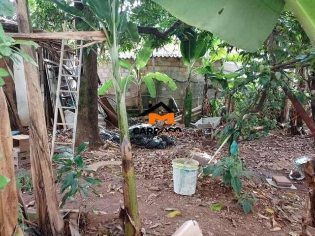 Lote para venda Glória Belo Horizonte