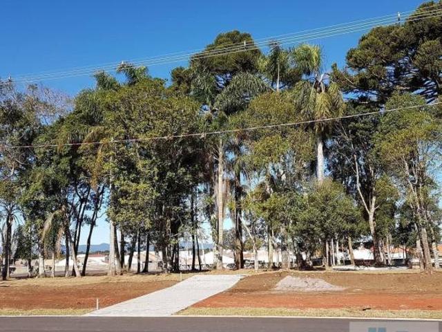 Lote para Venda em São José dos Pinhais, Campo Largo da Roseira