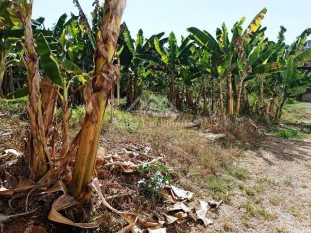 Lote para Venda em Patos de Minas, Centro
