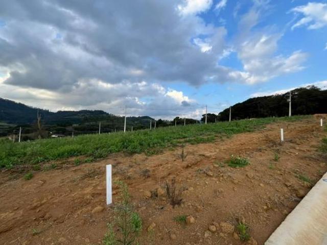Lote para Venda em Toledo, Santa Tereza