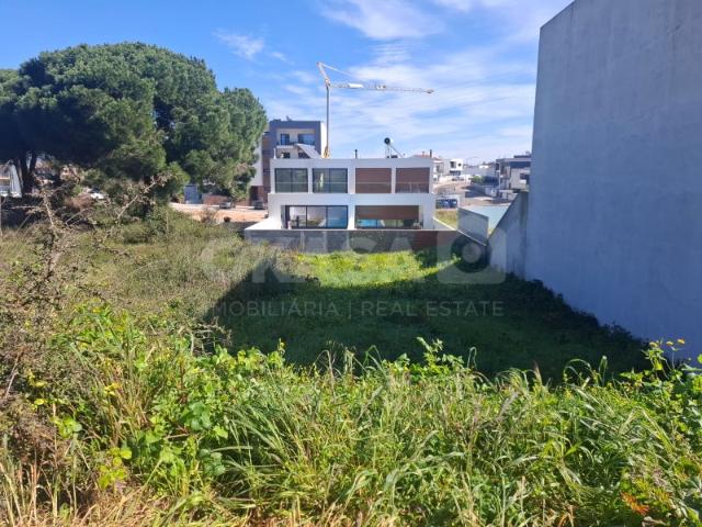 Lote, Quinta da Amizade, Setúbal