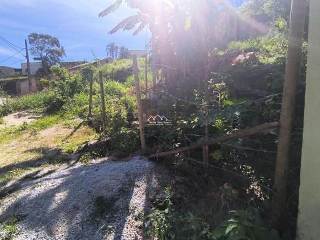 LOTE R$ 65.000,00 FLORESTAL