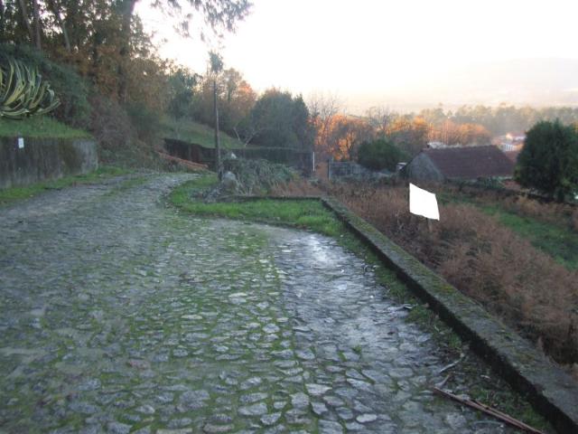 Lote Reboreda