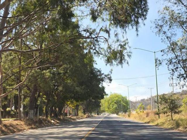 Lote Residencia en Venta Fraccionamiento Los Robles