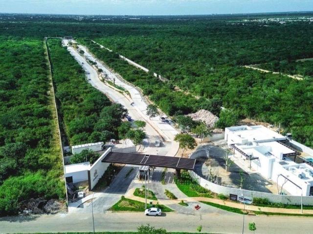 Lote residencial en Santa Gertrudis Copo, Entretat