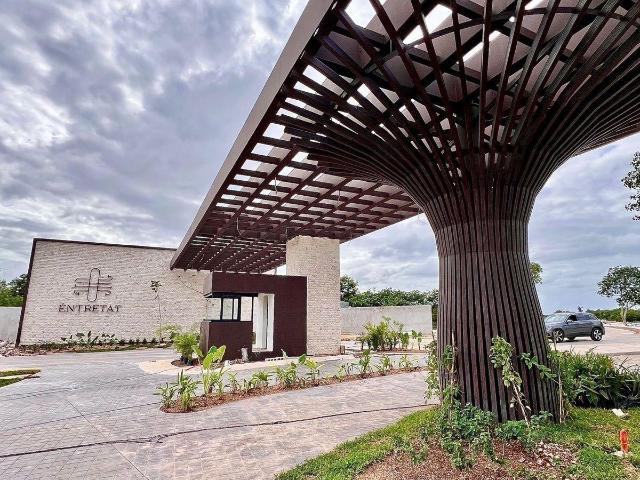 Lote residencial en Santa Gertrudis Copo, Entretat