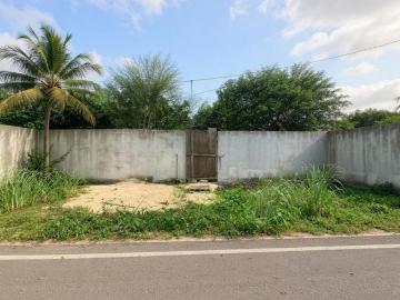 Ejidal Playa del Carmen, Playa del Carmen, Solidaridad Quintana Roo, Quintana Roo