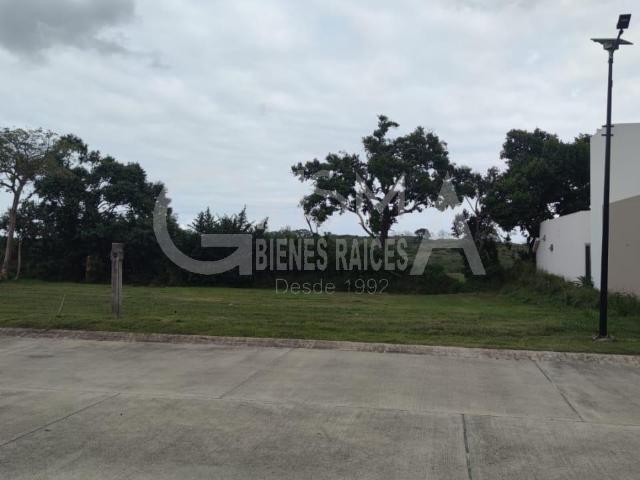 LOTE RESIDENCIAL EN VENTA EN JUANA MOZA