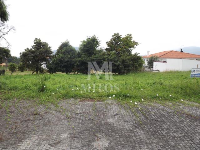 Lote Seixas