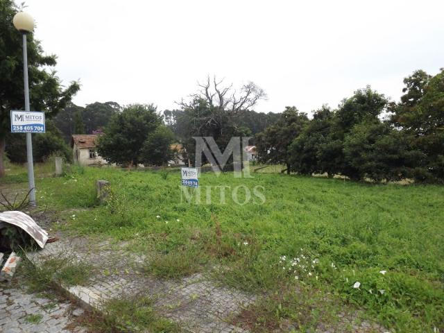 Lote Seixas