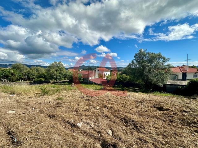 Lote Serreleis, Viana do Castelo