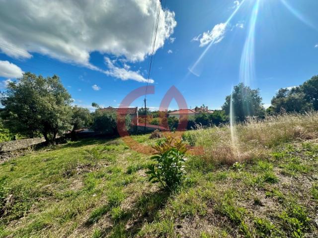 Lote Serreleis, Viana do Castelo