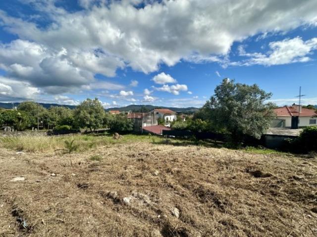 Lote Serreleis, Viana do Castelo