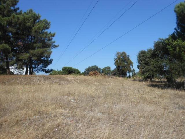 Lote Terr. Construção/