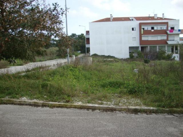 Lote Terr. Construção/