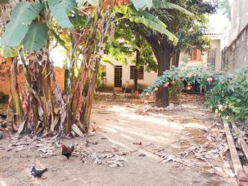 Lote / Terreno com 1 quarto à venda em Belo Horizonte, no bairro Serrano