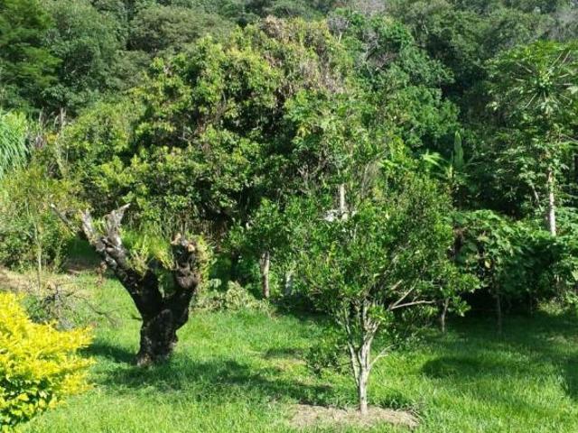 Lote / Terreno com 3 quartos à venda em Vespasiano, no bairro Bela Vista