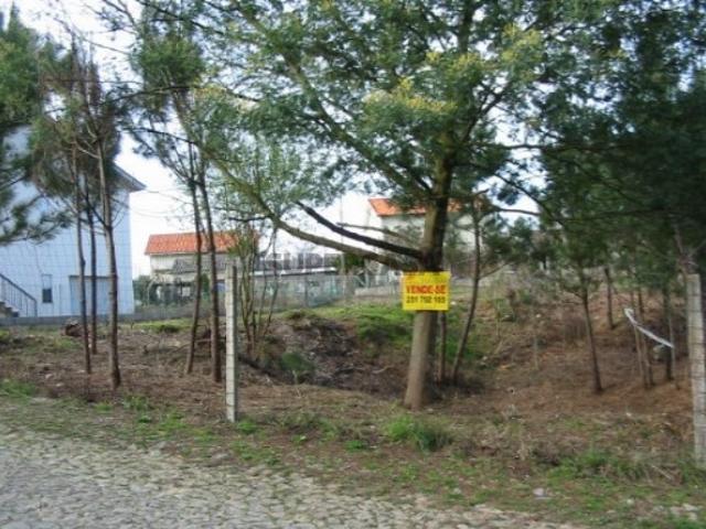 Lote terreno Campos