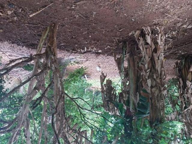 Lote / Terreno à venda em Varginha, no bairro Jardim Andere