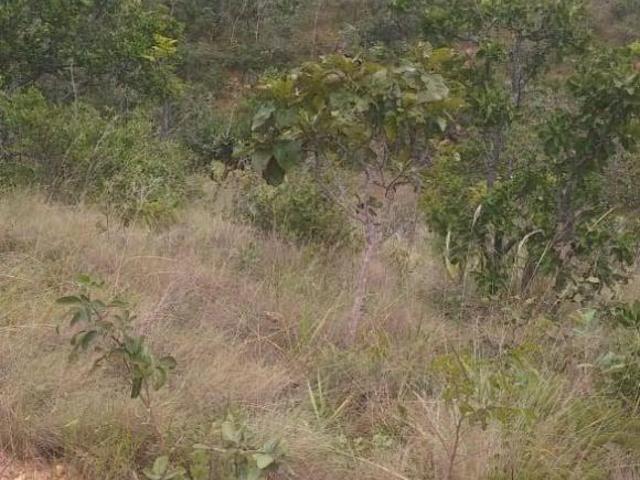 Lote / Terreno à venda em Baldim, no bairro Botafogo