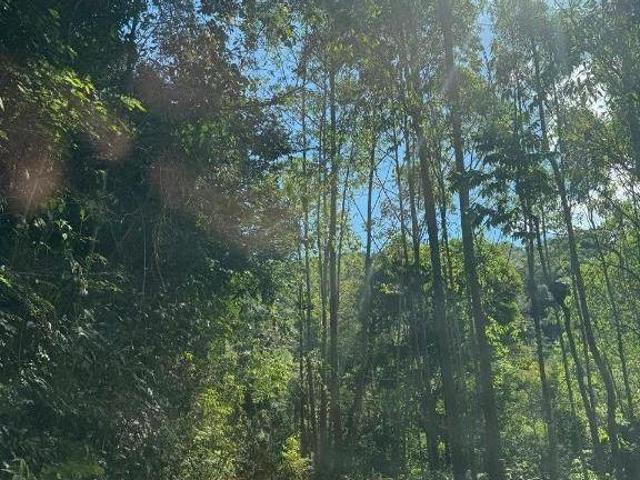 Lote / Terreno à venda em Barão De Cocais, no bairro Caeté