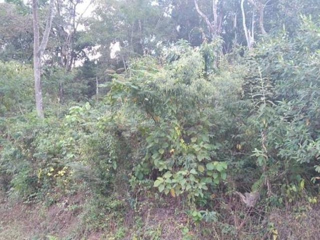 Lote / Terreno à venda em Barão De Cocais, no bairro Leão 13